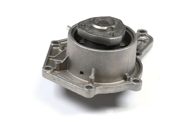 Pompa de apa HEPU P663M